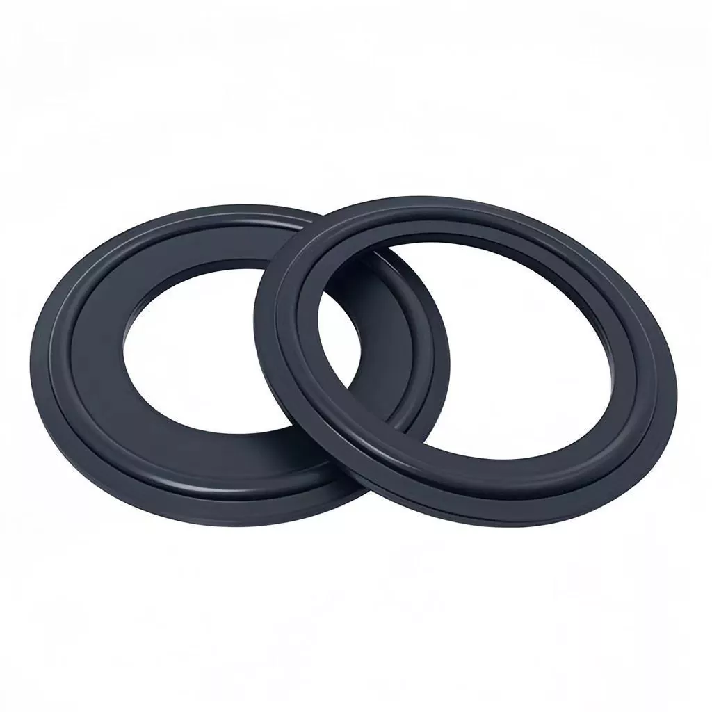 Gasket EPDM Sanitari